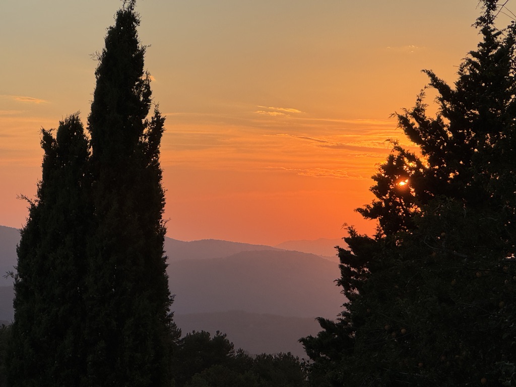Sunset behind cypress trees